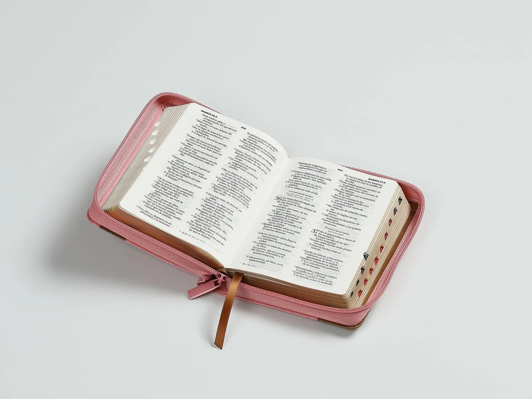 Biblia RVR60 025czti Elegante Rosa/café - Biblias