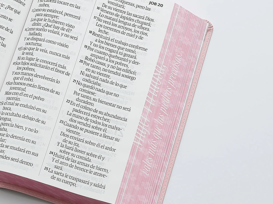 Biblia RVR60 088c CP PJR Mujer virtuosa - Biblias