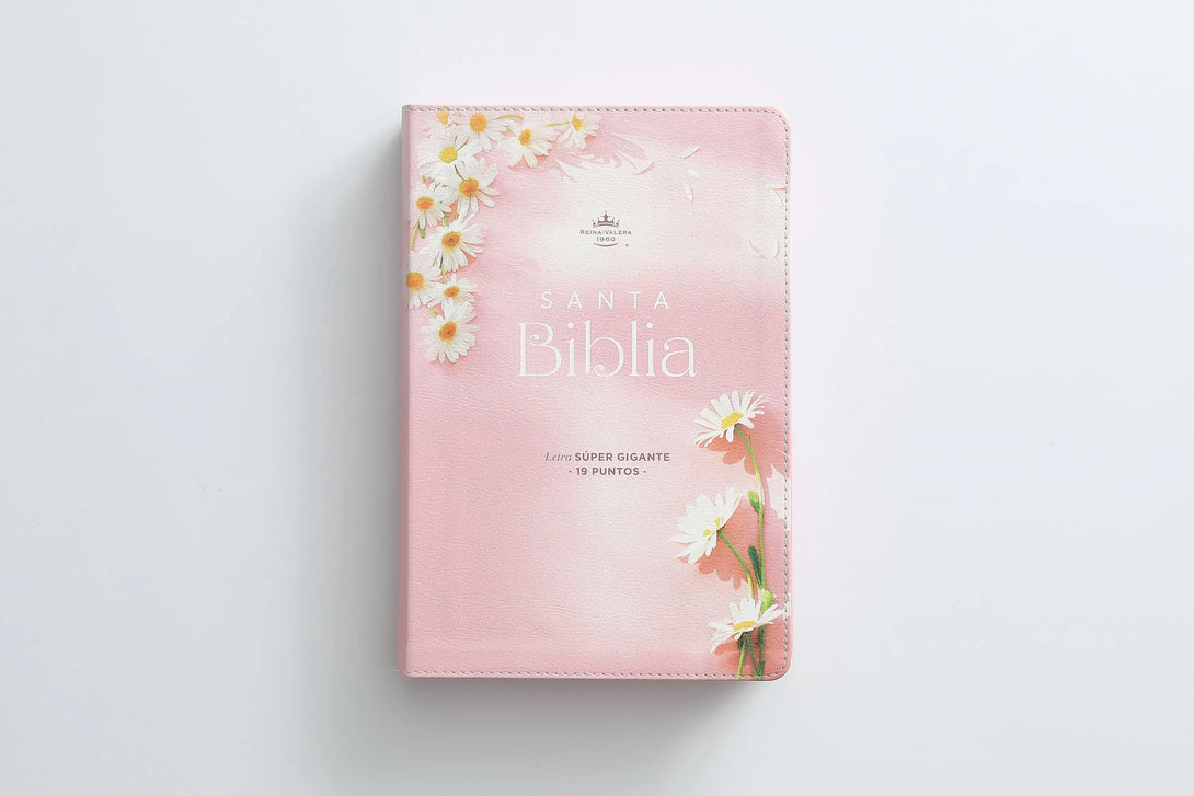 Biblia RVR60 088c CP PJR Mujer virtuosa - Biblias