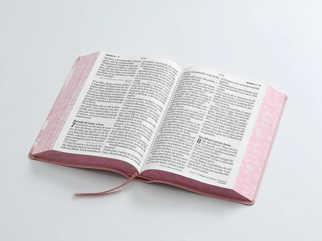 Biblia RVR60 088c CP PJR Mujer virtuosa - Biblias