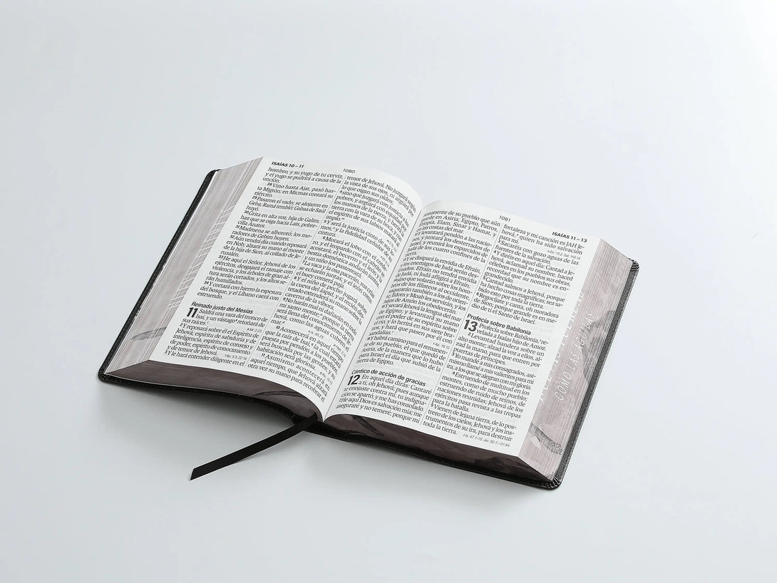 Biblia RVR60 088c CP PJR Nuevas Fuerzas - Biblias