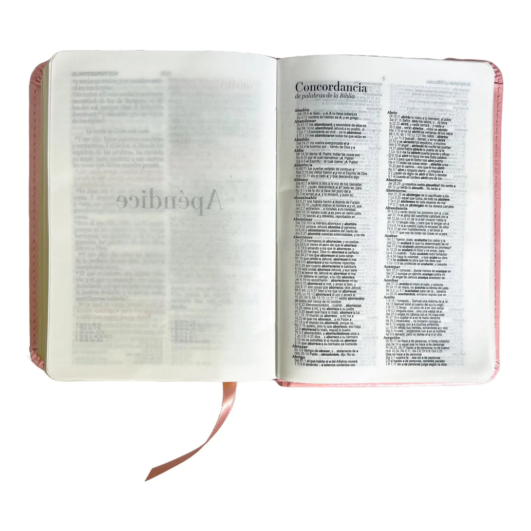 Biblia Reina Valera 1960 de bolsillo Imitación Piel rosa