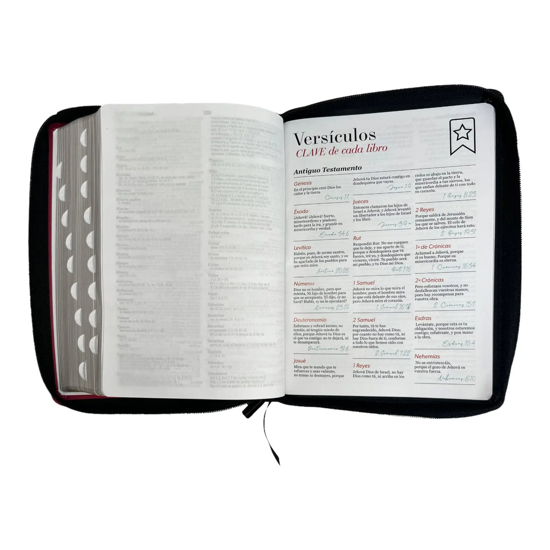 Biblia Reina Valera 1960 tamaño Gigante (170x235 mm) Letra