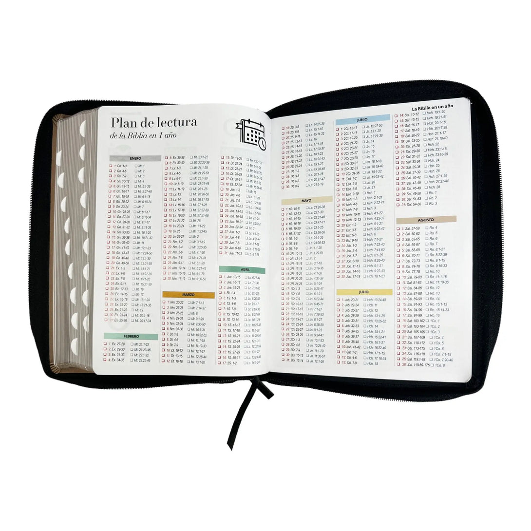 Biblia Reina Valera 1960 tamaño Gigante (170x235 mm) Letra