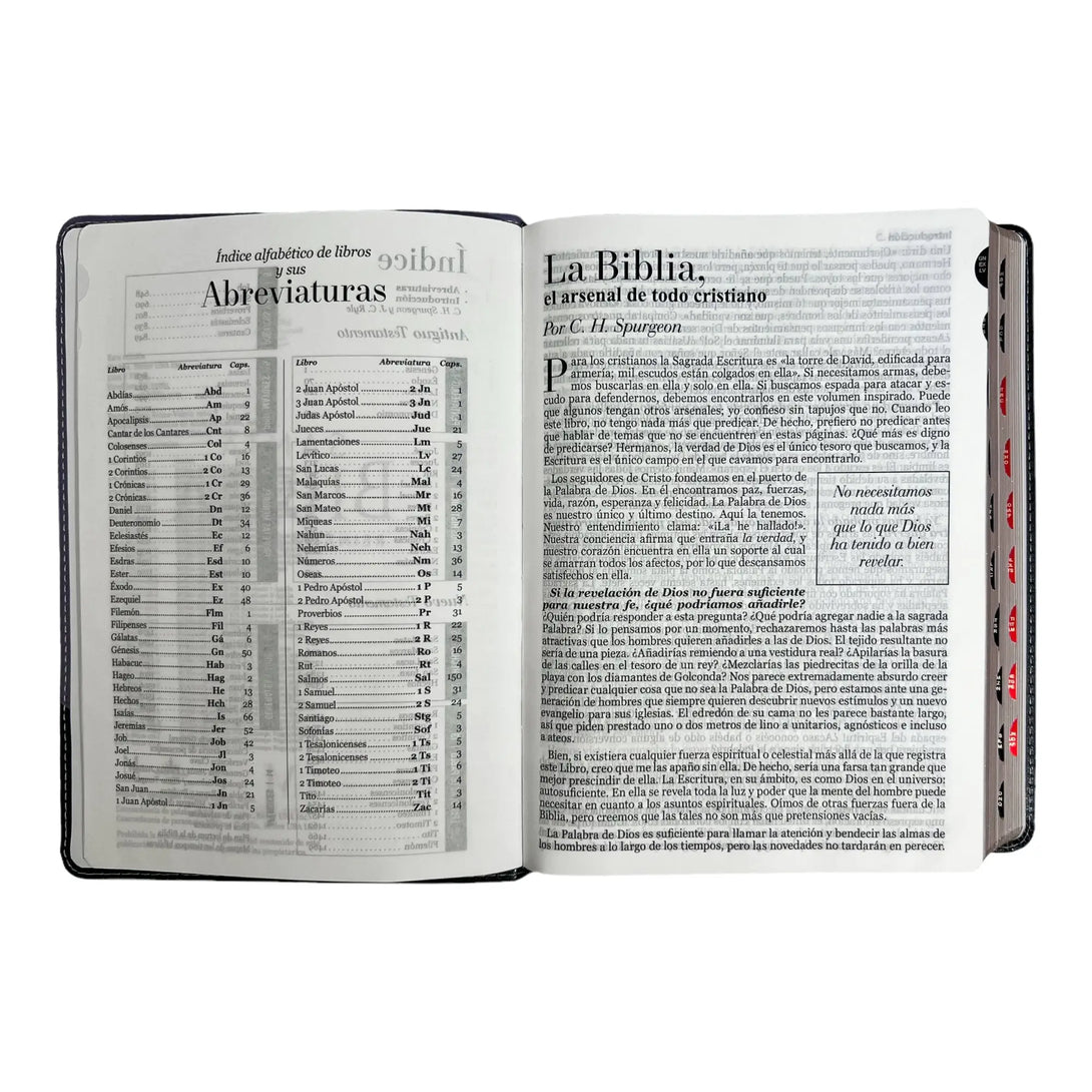 Biblia Reina Valera 1960 tamaño Gigante (170x235 mm) Letra