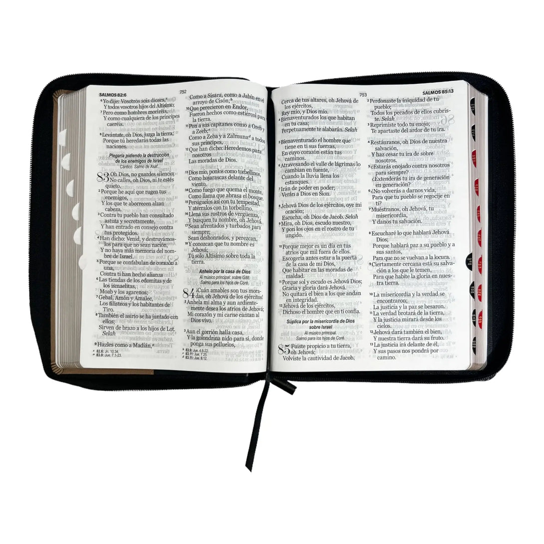 Biblia Reina Valera 1960 tamaño Gigante (170x235 mm) Letra