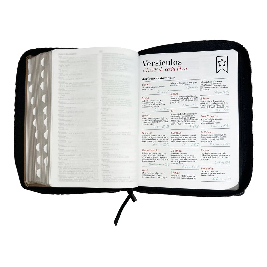 Biblia Reina Valera 1960 tamaño Gigante (170x235 mm) Letra