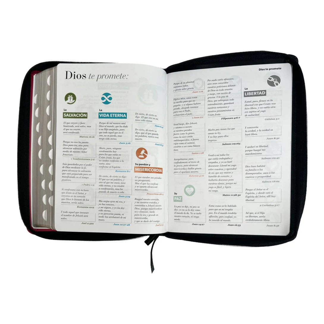 Biblia Reina Valera 1960 tamaño Gigante (170x235 mm) Letra