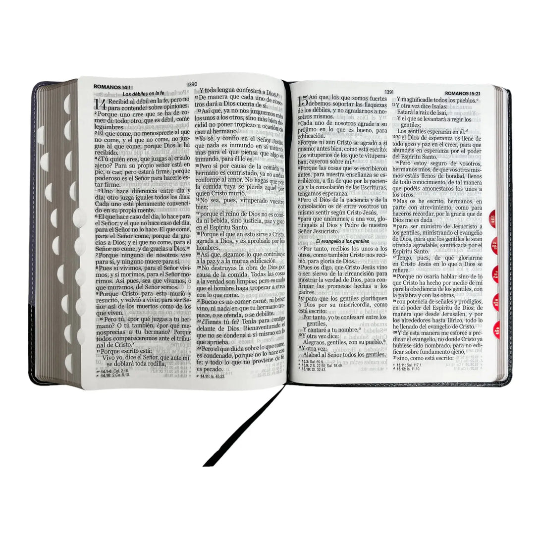 Biblia Reina Valera 1960 tamaño Gigante (170x235 mm) Letra