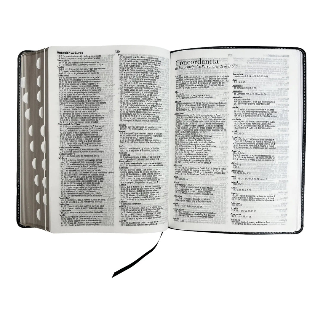 Biblia Reina Valera 1960 tamaño Gigante (170x235 mm),Letra