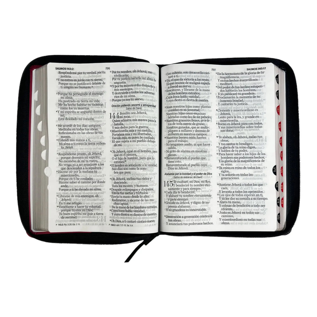 Biblia Reina Valera 1960 tamaño Gigante (170x235 mm) Letra