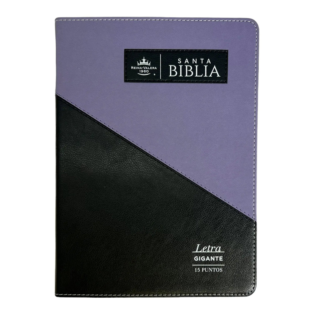 Biblia Reina Valera 1960 tamaño Gigante (170x235 mm),Letra