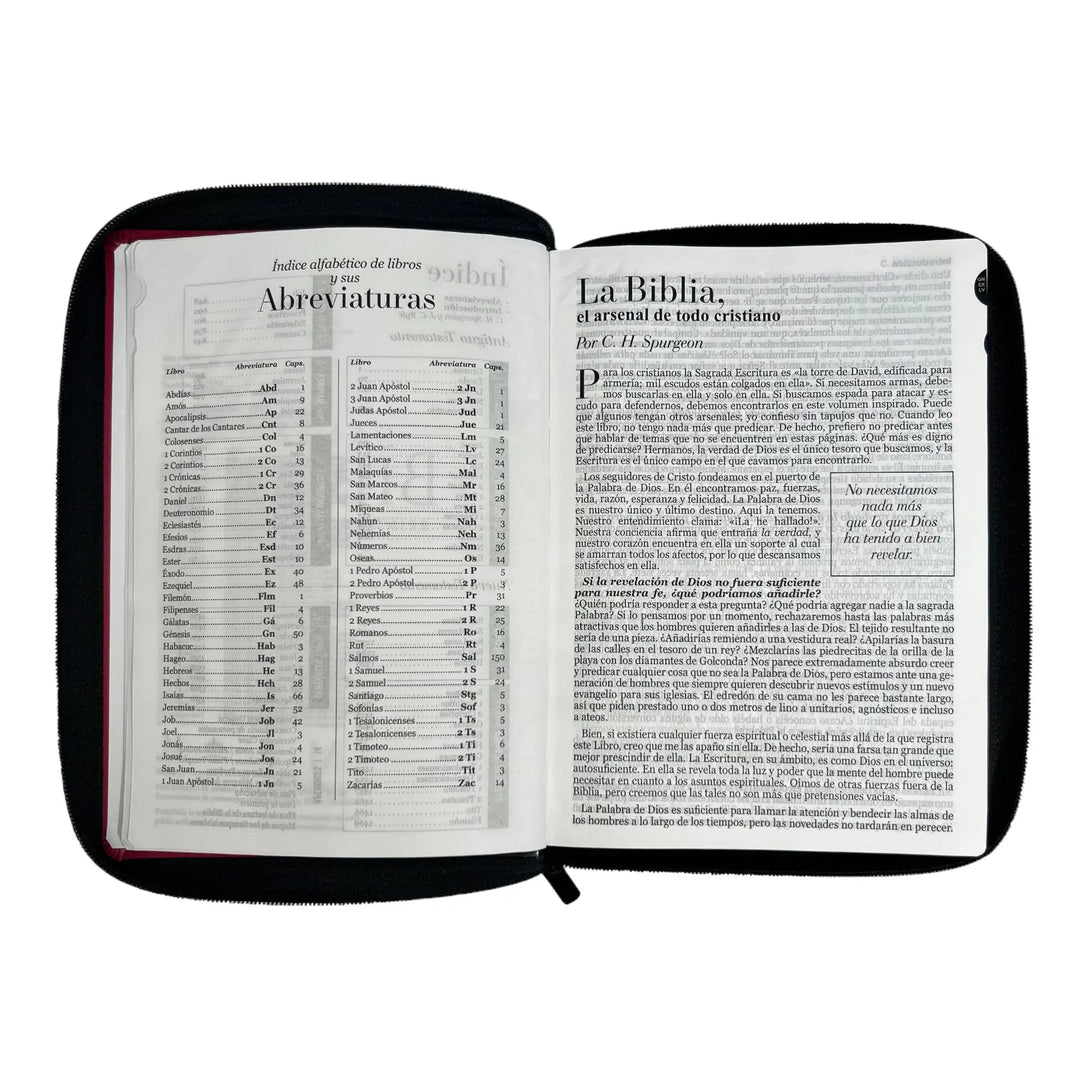 Biblia Reina Valera 1960 tamaño Gigante (170x235 mm) Letra