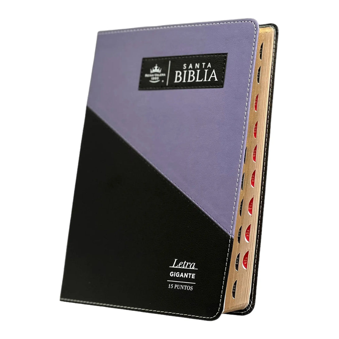 Biblia Reina Valera 1960 tamaño Gigante (170x235 mm),Letra