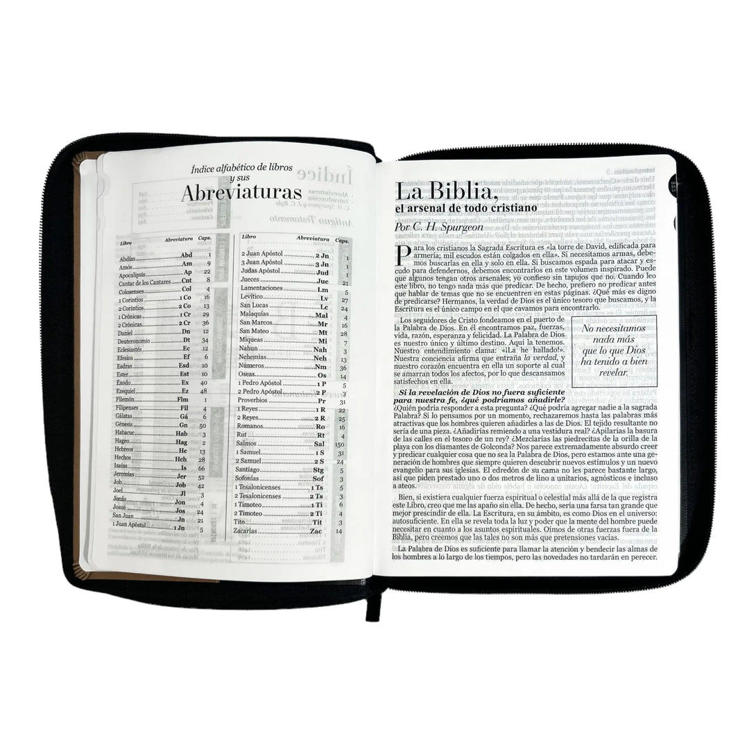 Biblia Reina Valera 1960 tamaño Gigante (170x235 mm) Letra