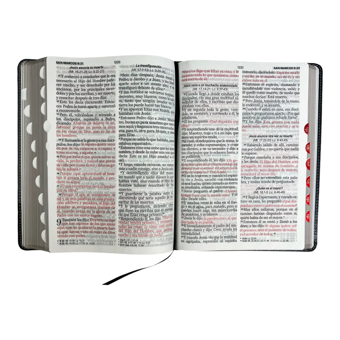 Biblia Reina Valera 1960 tamaño Gigante (170x235 mm),Letra