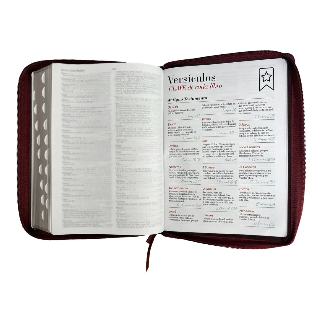 Biblia Reina Valera 1960 tamaño Gigante (170x235 mm) Letra