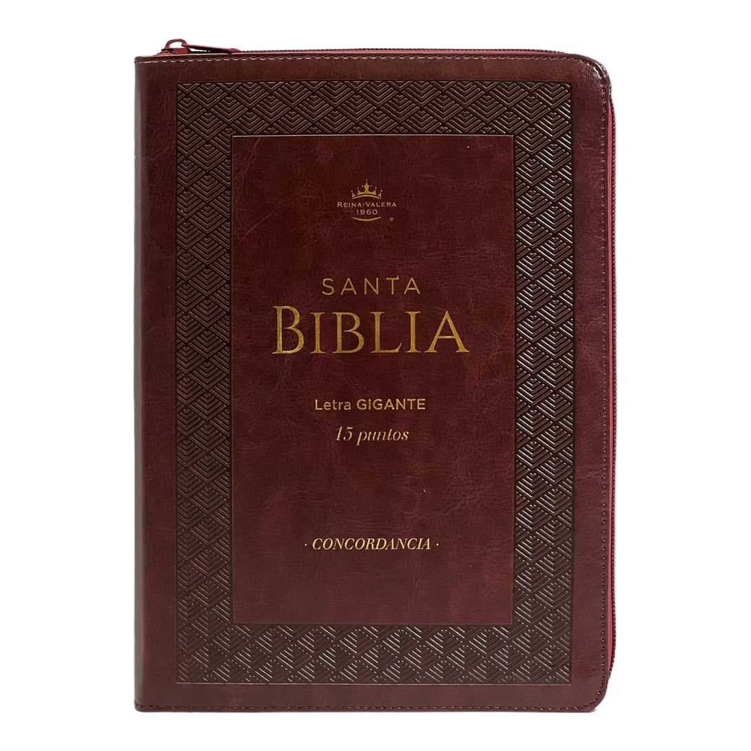 Biblia Reina Valera 1960 tamaño Gigante (170x235 mm) Letra