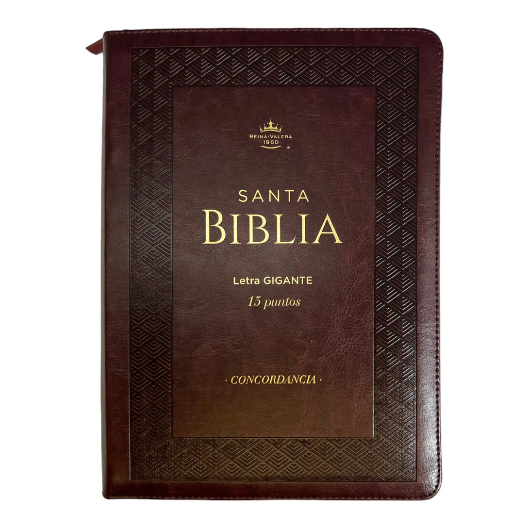 Biblia Reina Valera 1960 tamaño Gigante (170x235 mm) Letra