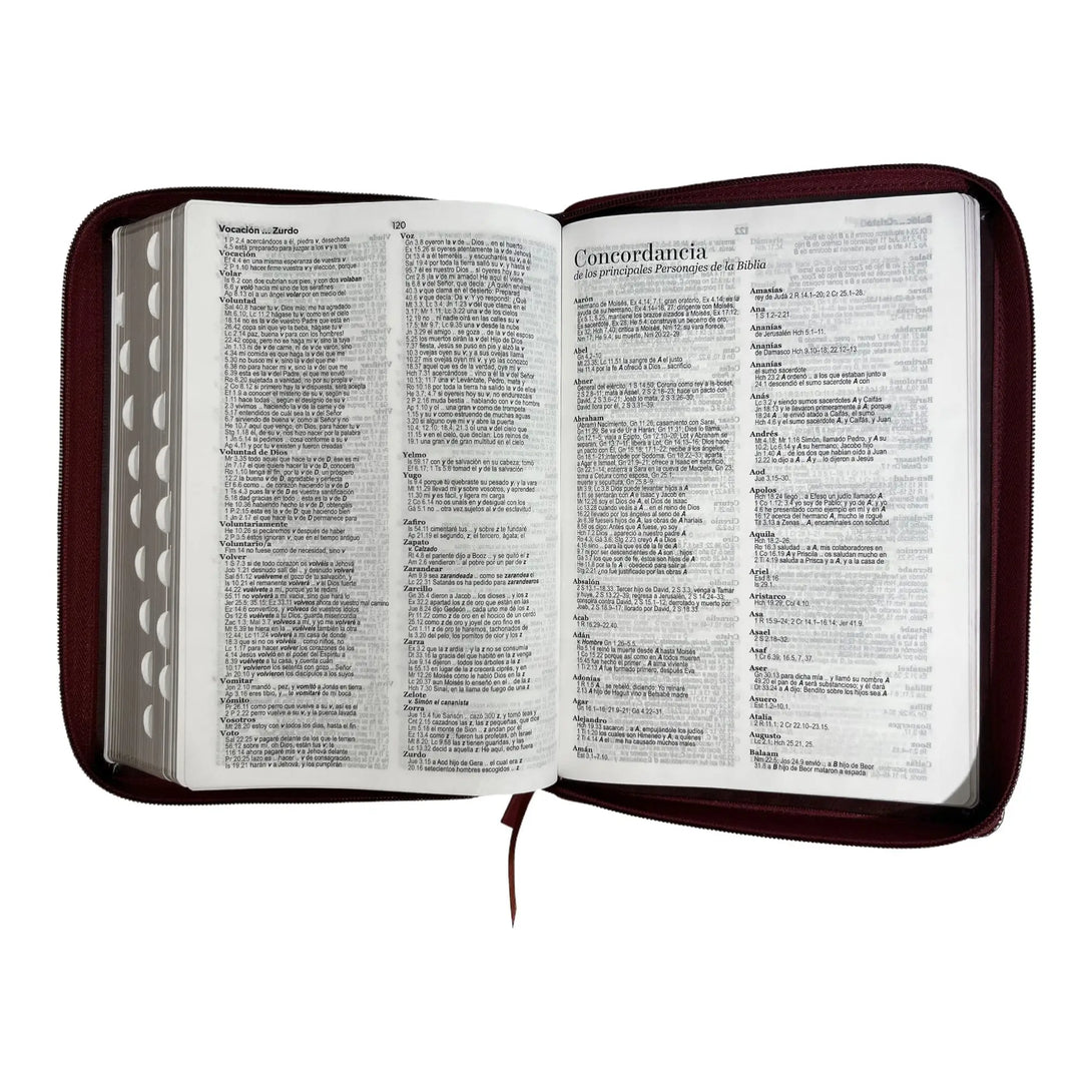 Biblia Reina Valera 1960 tamaño Gigante (170x235 mm) Letra