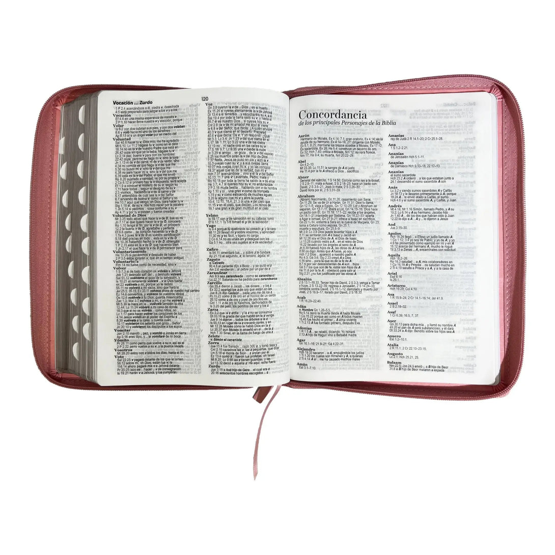 Biblia Reina Valera 1960 tamaño Gigante (170x235 mm) Letra