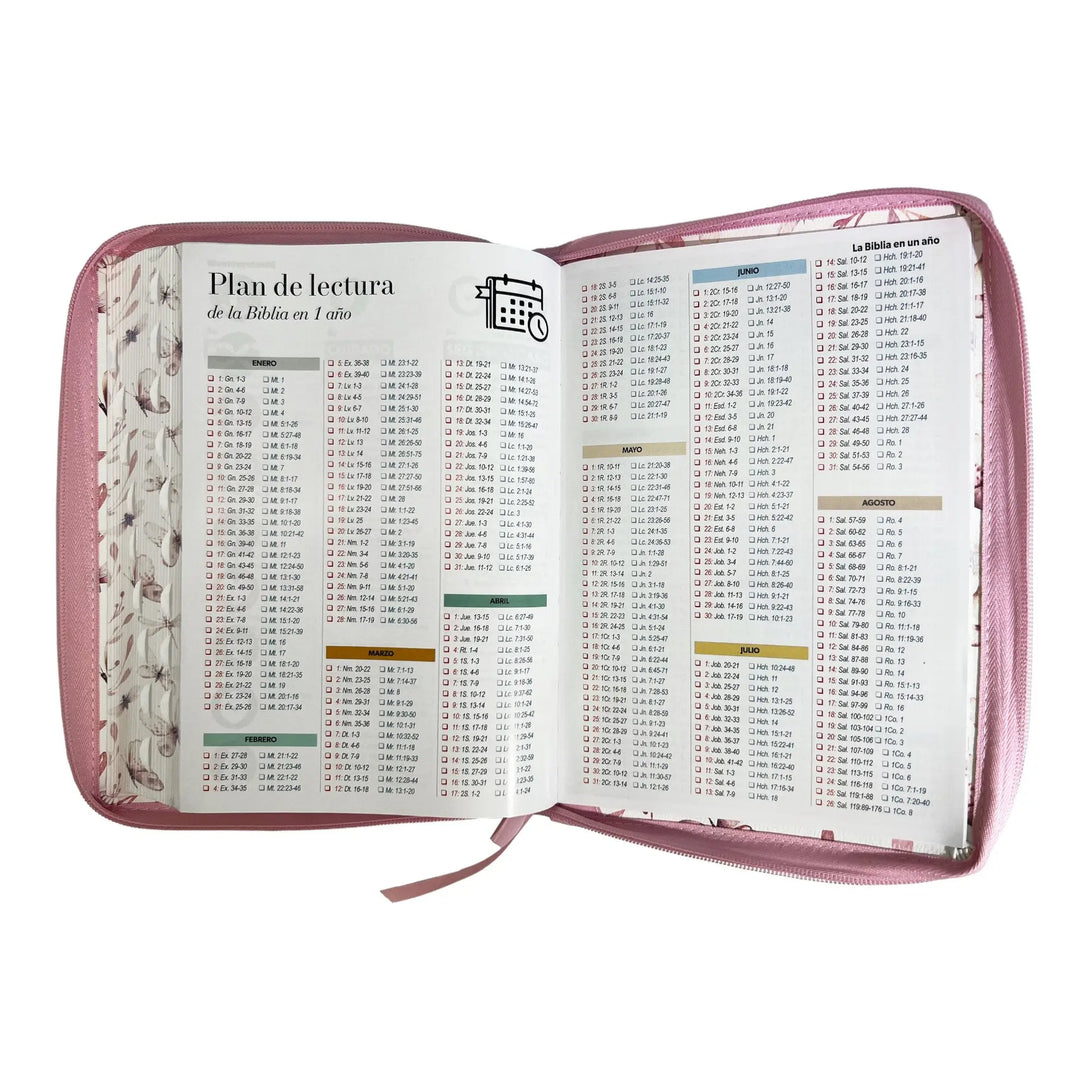 Biblia Reina Valera 1960 tamaño Gigante (170x235 mm) Letra