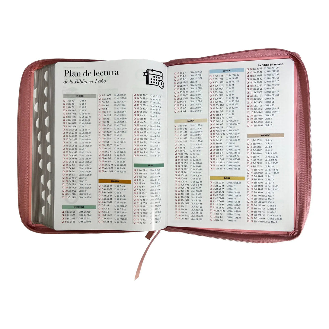 Biblia Reina Valera 1960 tamaño Gigante (170x235 mm) Letra