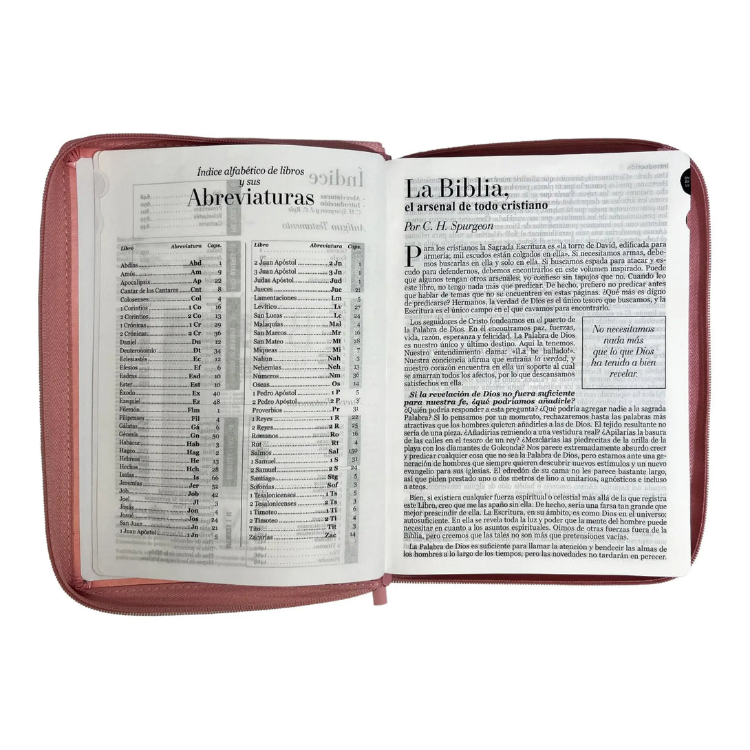 Biblia Reina Valera 1960 tamaño Gigante (170x235 mm) Letra