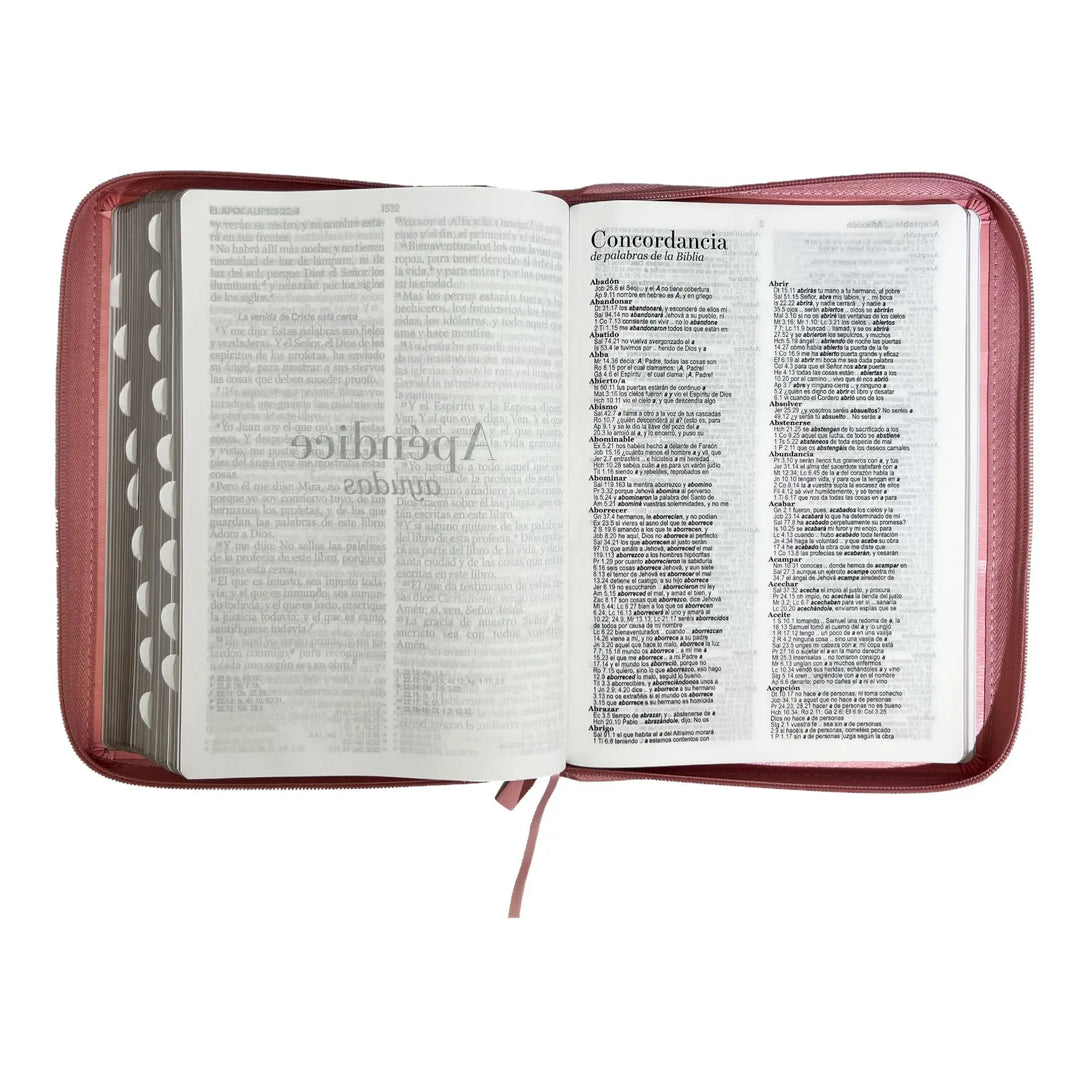 Biblia Reina Valera 1960 tamaño Gigante (170x235 mm) Letra