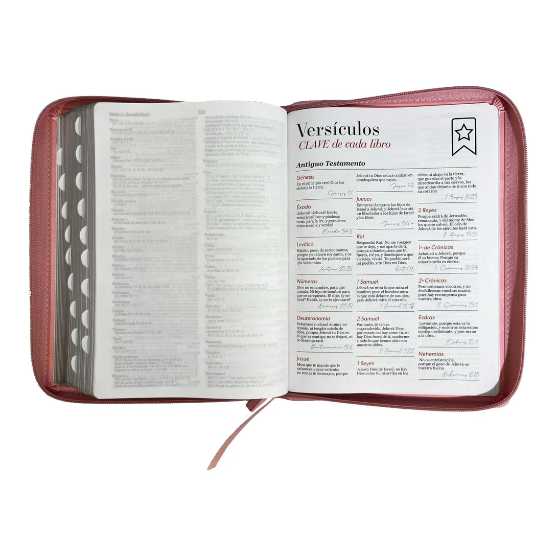 Biblia Reina Valera 1960 tamaño Gigante (170x235 mm) Letra