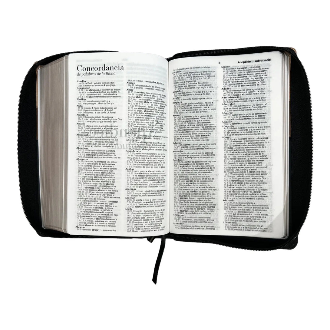 Biblia Reina Valera 1960. Tamaño manual Letra Gigante 14