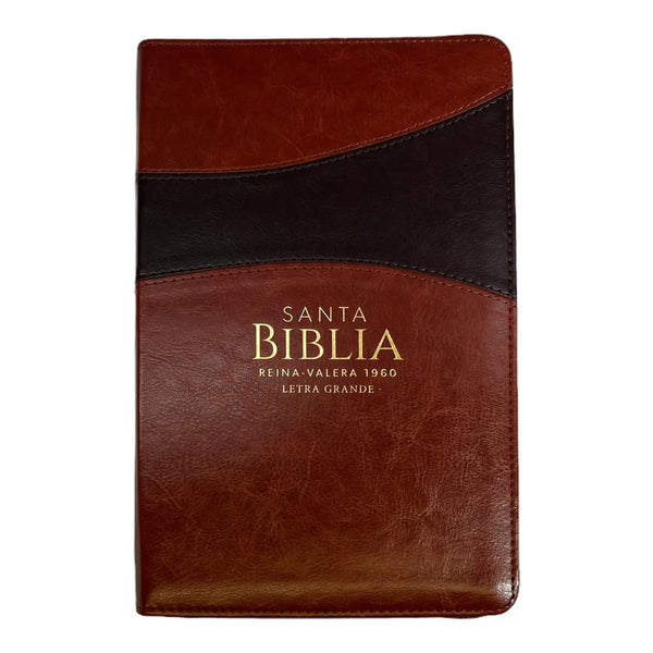 Biblia Reina Valera 1960 tamaño manual letra grande 12