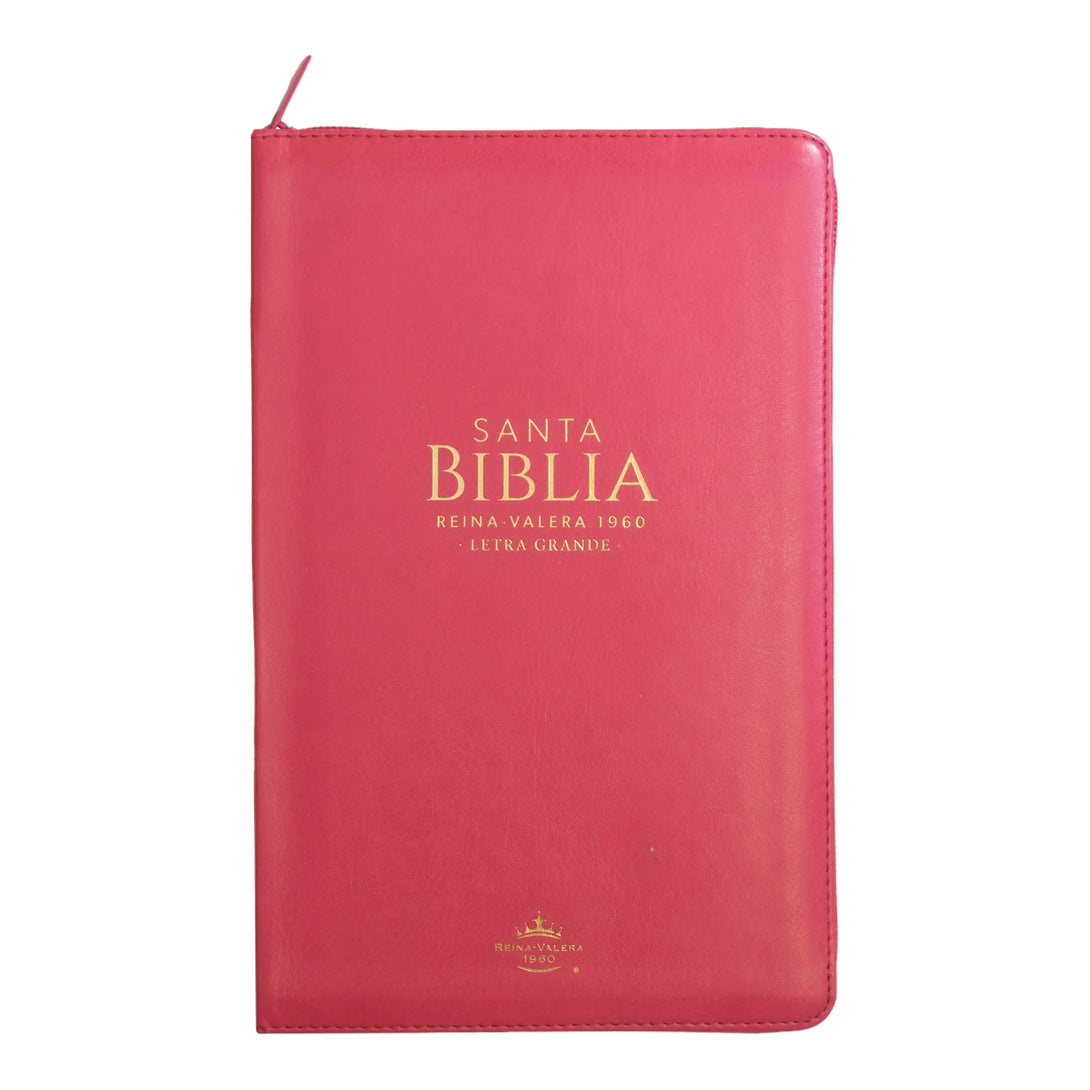 Biblia Reina Valera 1960 tamaño manual letra grande 12