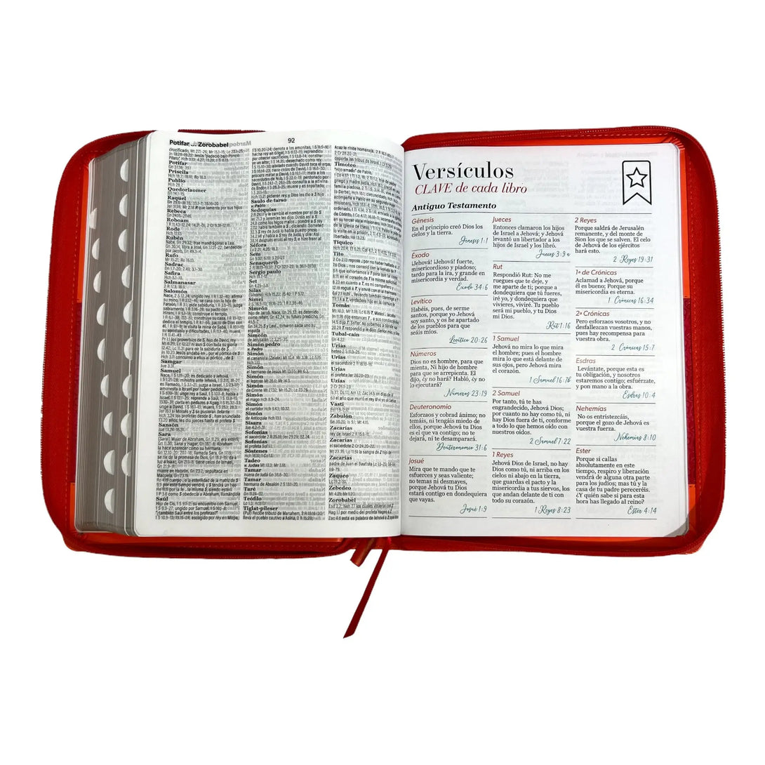 Biblia Reina Valera 1960 tamaño Súper Gigante (185x260 mm)