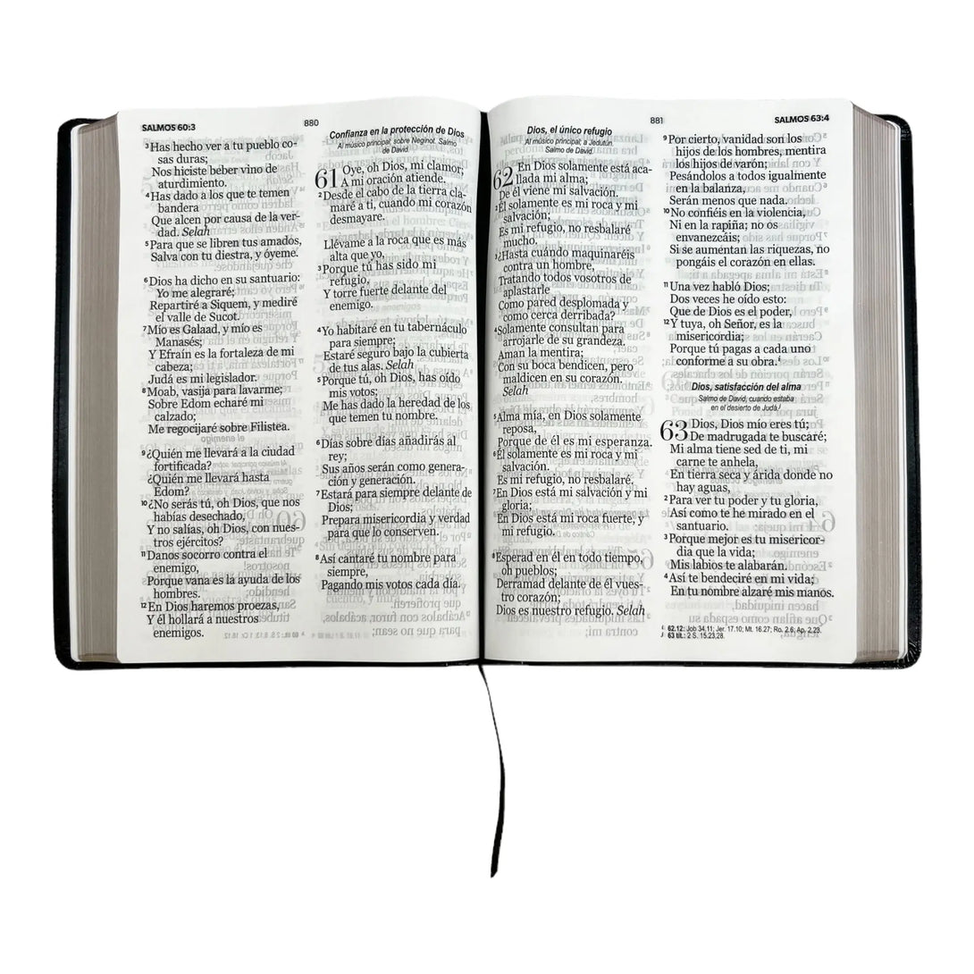 Biblia Reina Valera 1960 tamaño Súper Gigante (185x260 mm)