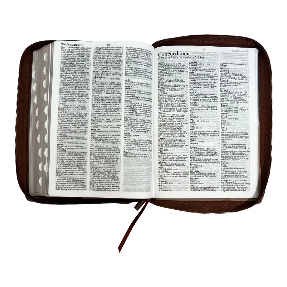 Biblia Reina Valera 1960 tamaño Súper Gigante (185x260 mm)