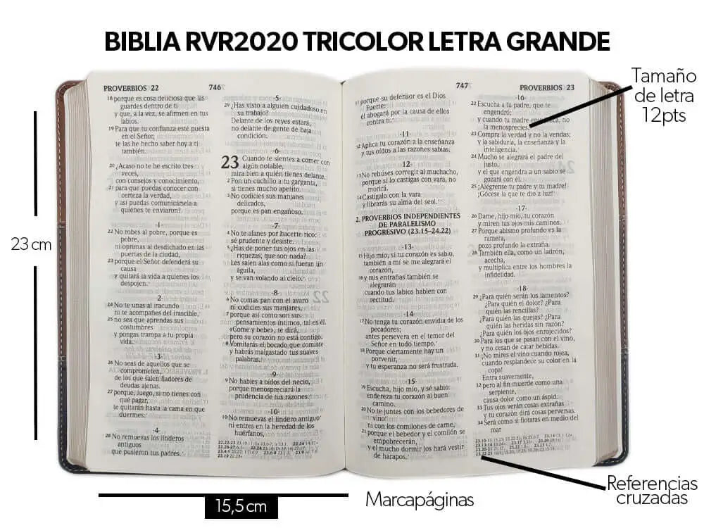 Biblia Reina Valera 2020, tamaño manual, Letra Grande 12 puntos, Colección TriColor Café