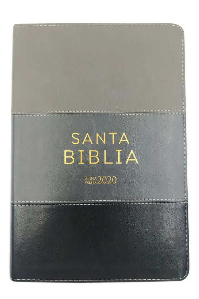 Biblia Reina Valera 2020, tamaño manual, Letra Grande 12 puntos, Colección TriColor Gris claro/Gris Oscuro/Negro