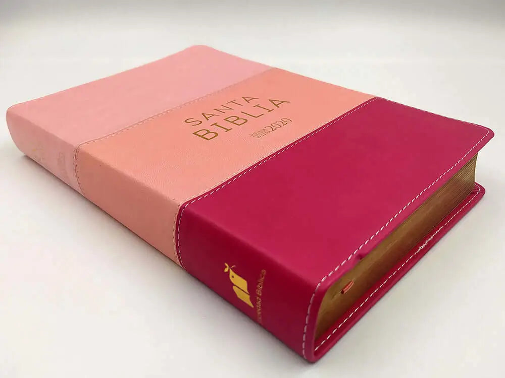 Biblia Reina Valera 2020, tamaño manual, Letra Grande 12 puntos, Colección TriColor Rosa
